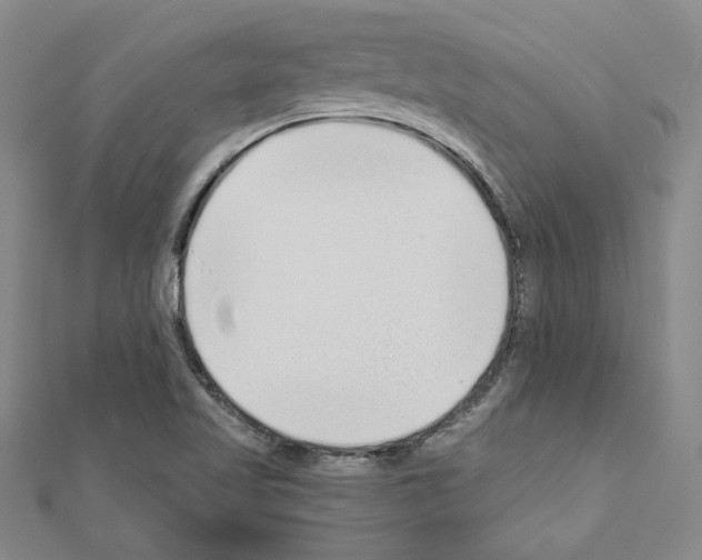 X0000110861509200907301341