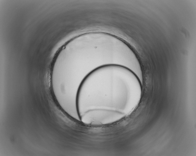 X0000110861510200907301341