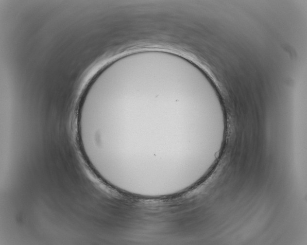 X0000110861511200907301341