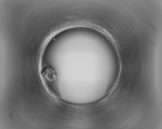 X0000110861512200907301341