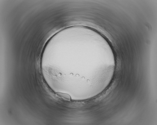 X0000110861513200907301341