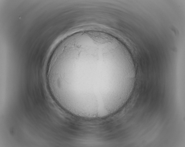 X0000110861514200907301341