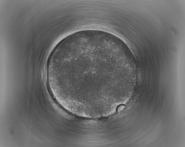 X0000110861515200907301341