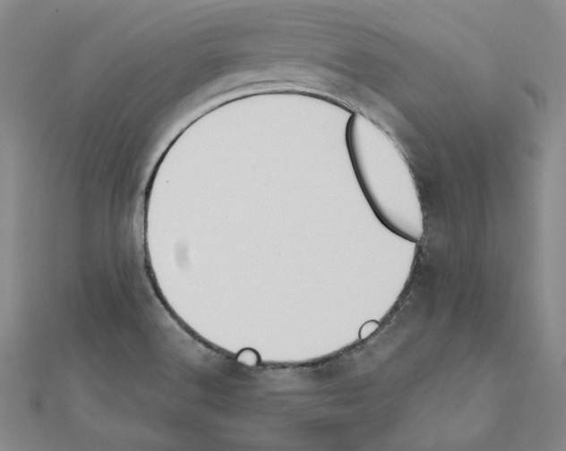 X0000110861516200907301341