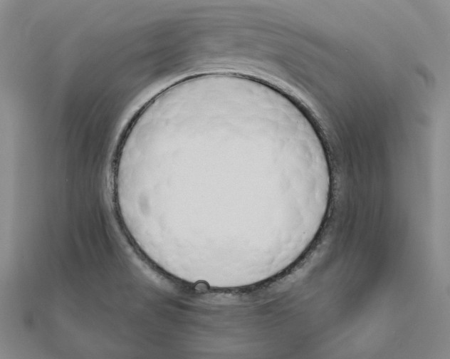 X0000110861517200907301341