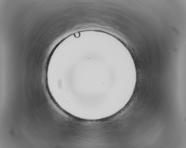 X0000110861518200907301341