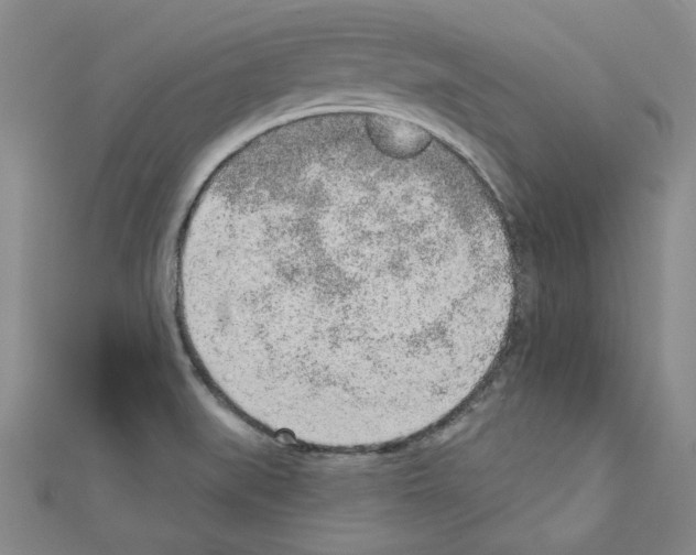 X0000110861519200907301341