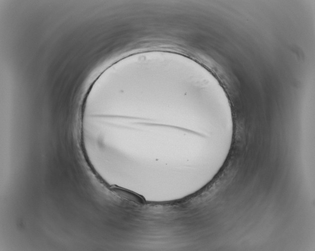 X0000110861520200907301341