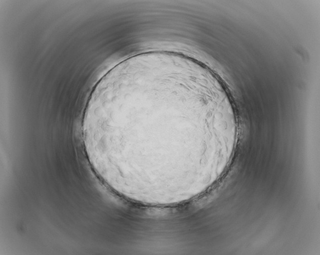 X0000110861521200907301341