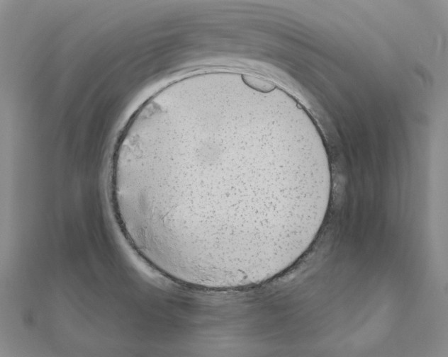 X0000110861523200907301341