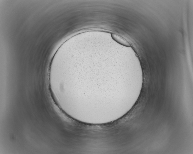 X0000110861524200907301341