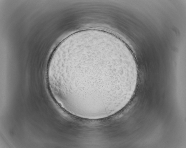 X0000110861525200907301341