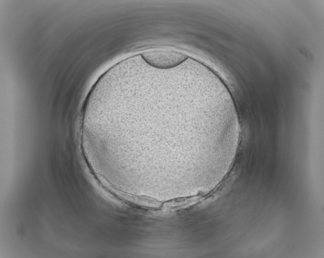 X0000110861526200907301341