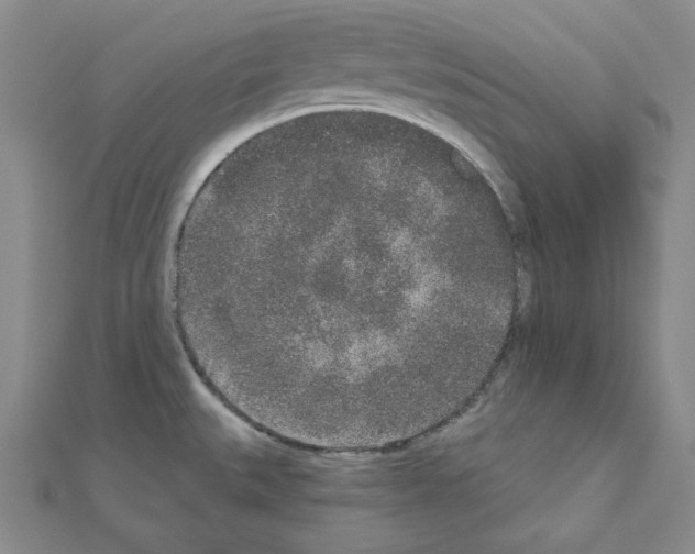 X0000110861527200907301341