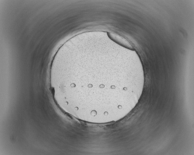 X0000110861528200907301341