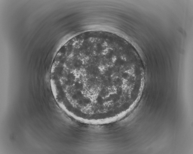 X0000110861529200907301341