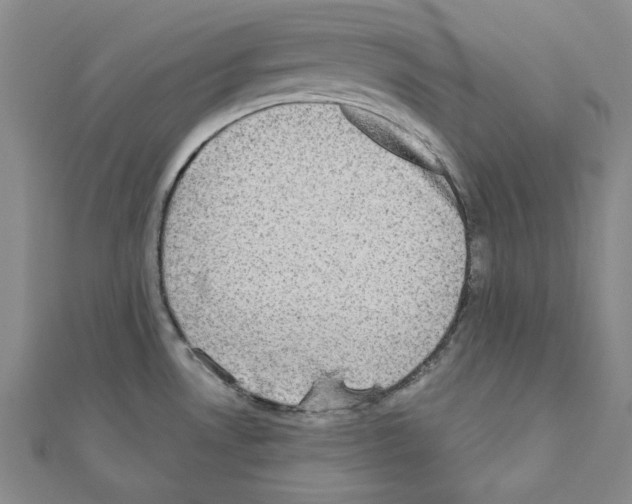 X0000110861530200907301341