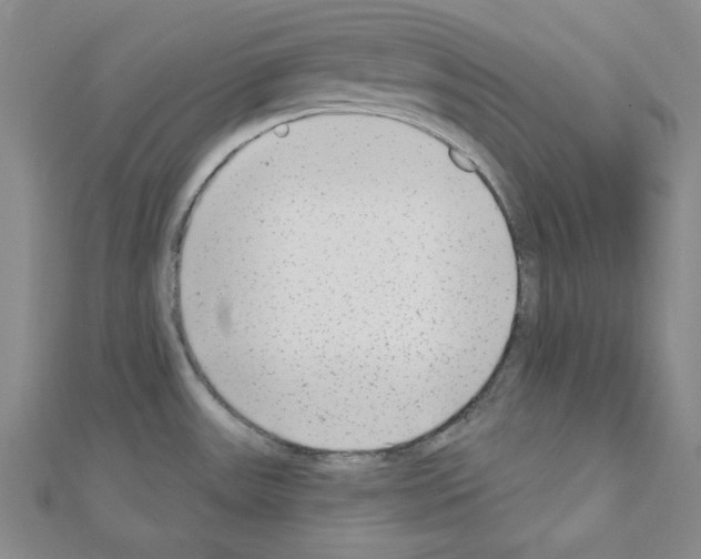 X0000110861531200907301341