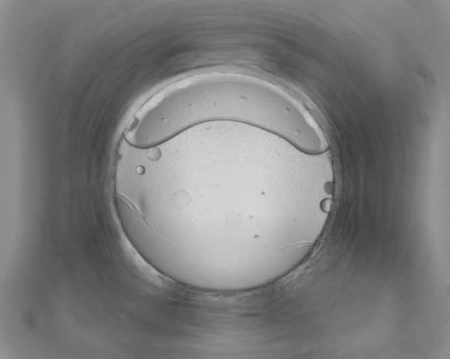 X0000110861532200907301341