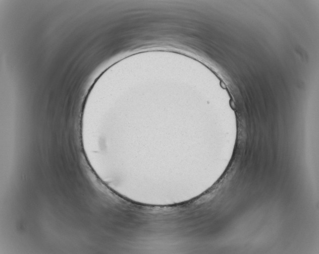 X0000110861534200907301341