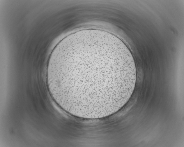 X0000110861535200907301341