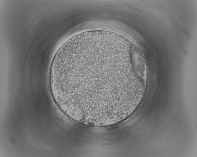 X0000110861536200907301341