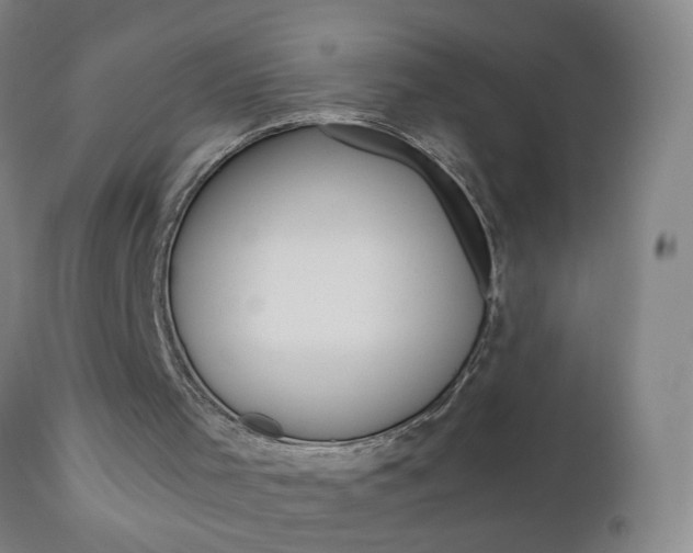 X0000110870001200906181021