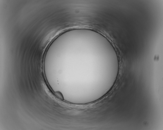 X0000110870002200906181021