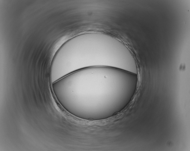 X0000110870003200906181021