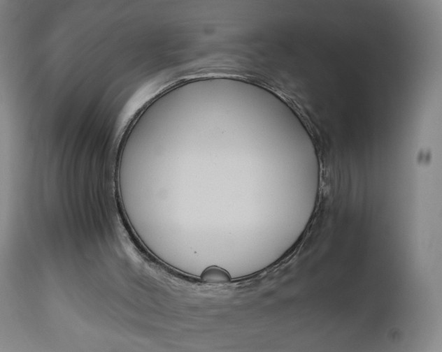 X0000110870004200906181021