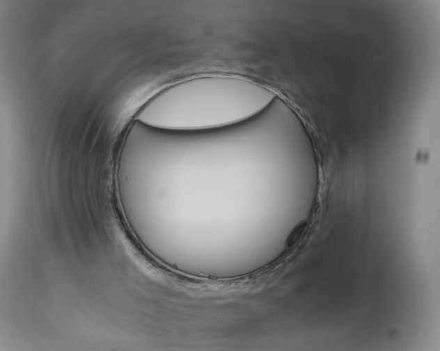 X0000110870005200906181021