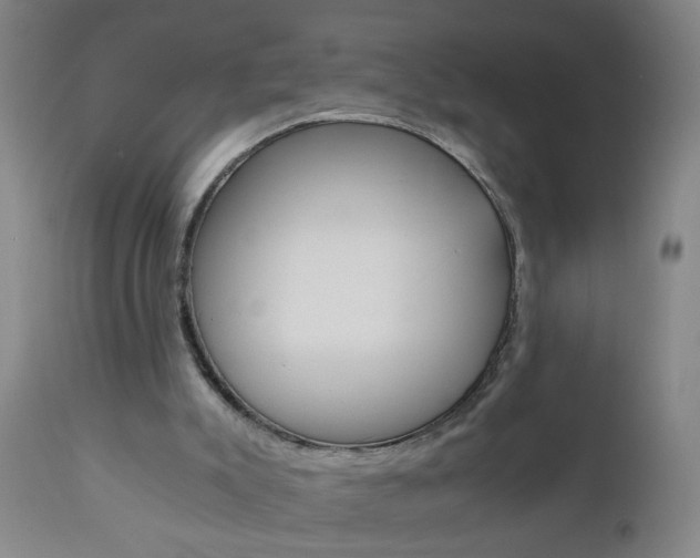 X0000110870007200906181021