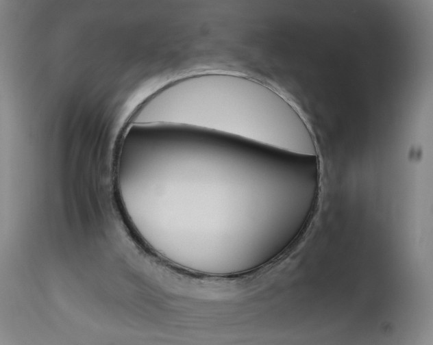 X0000110870008200906181021