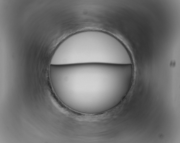 X0000110870009200906181021