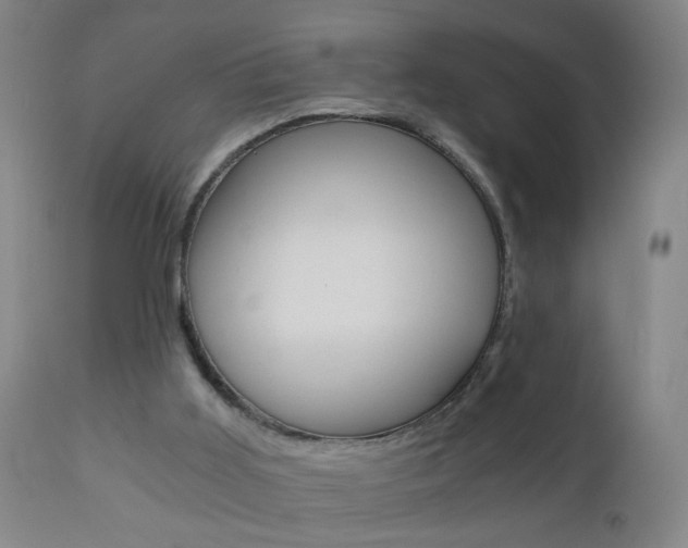 X0000110870011200906181021