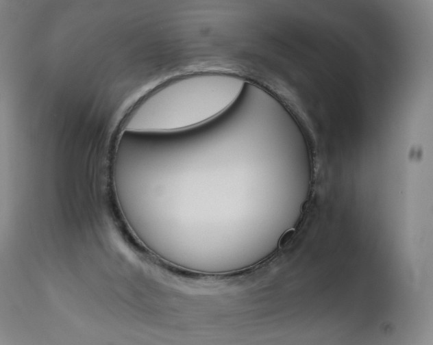 X0000110870012200906181021