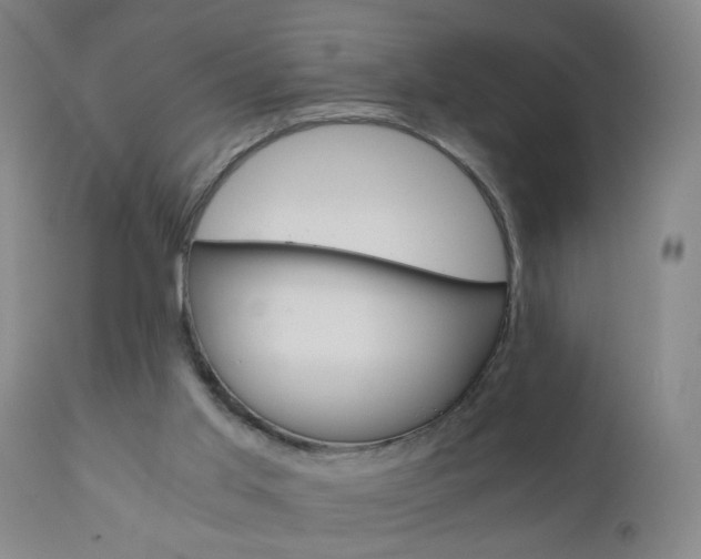 X0000110870013200906181021