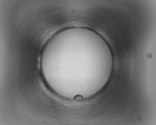 X0000110870014200906181020