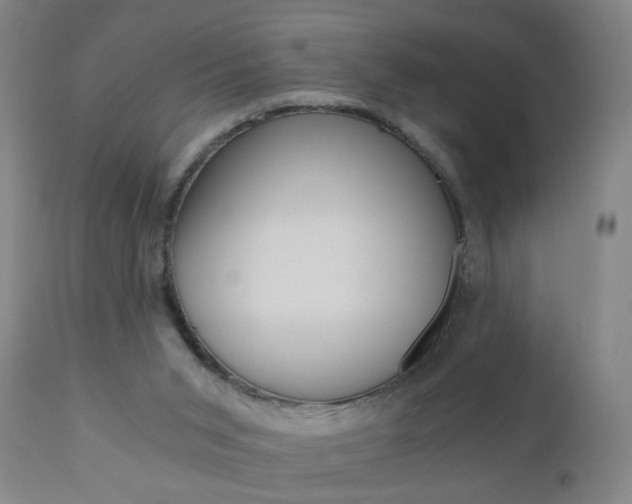 X0000110870015200906181020