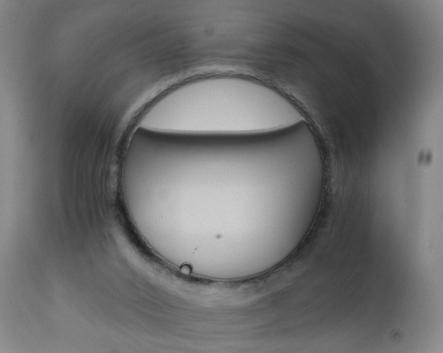 X0000110870016200906181020