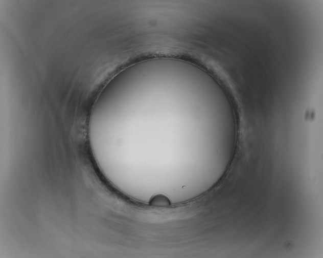 X0000110870017200906181020