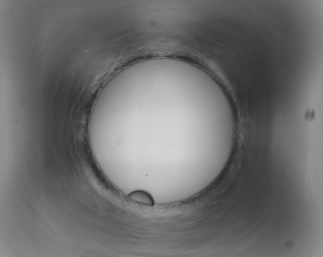 X0000110870018200906181020