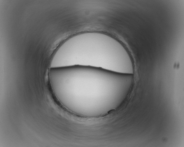 X0000110870019200906181020