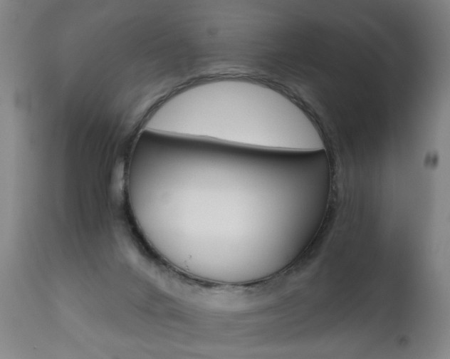 X0000110870024200906181020