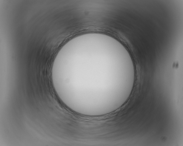 X0000110870025200906181020