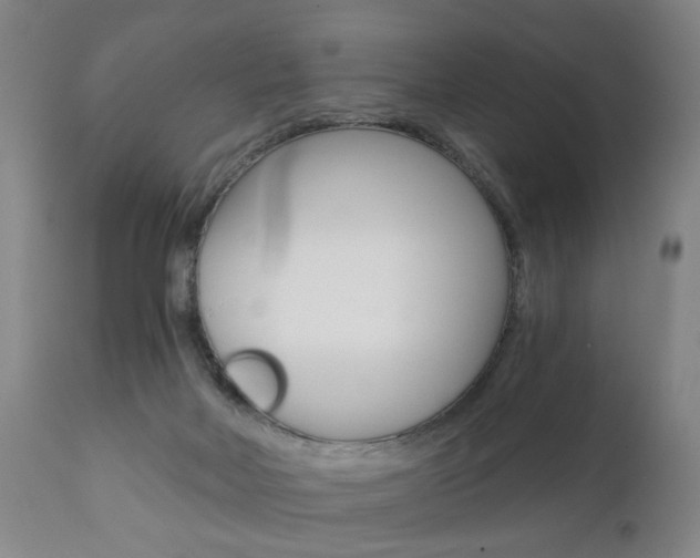 X0000110870026200906181020