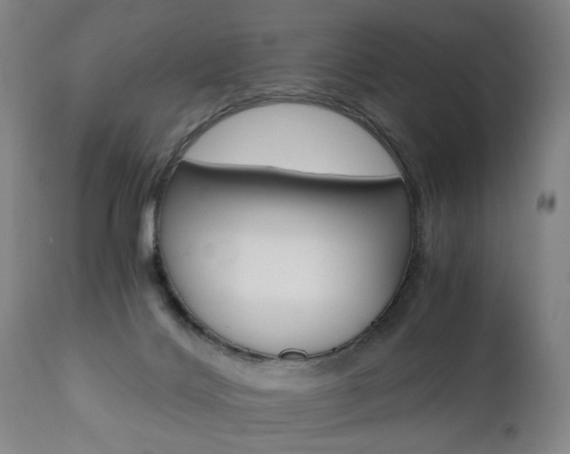 X0000110870028200906181020