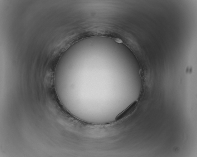 X0000110870029200906181020