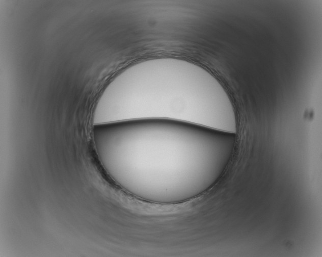 X0000110870031200906181020