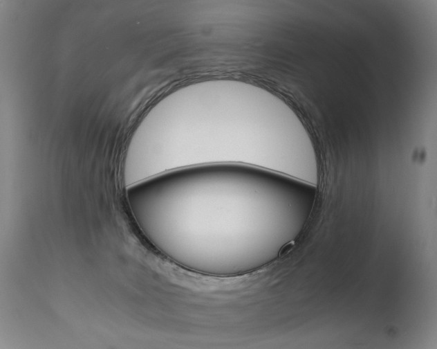 X0000110870035200906181020